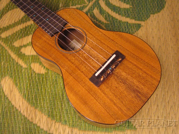 FgN(FUJIGEN) Acoustic FUS-TC Ukulele,コンサートウクレレ] 新品[富士