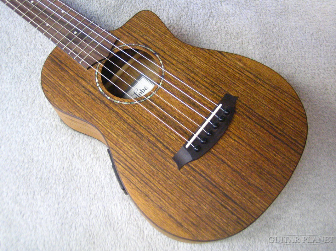 Cordoba Mini O Ce 新品 コルドバ 寄集める申し受ける 6絃 Guitar Ukulele ギターウクレレ Colegiovictorhugo Cl