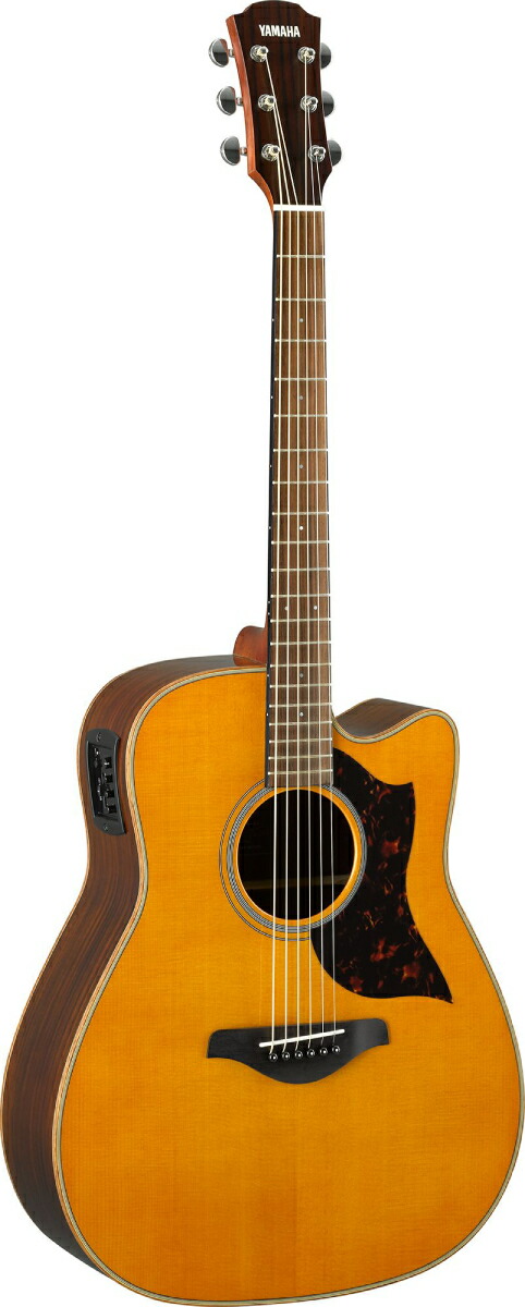 楽天市場】K.Yairi RF-K13-SAP 新品[Kヤイリ][国産][Natura