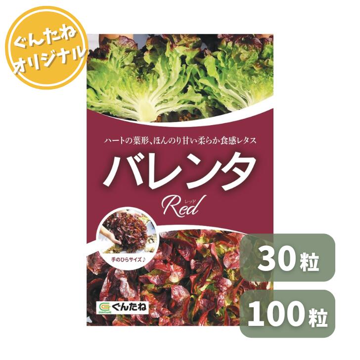 ぐんたね ジャムレタス バレンタレッド コート種子 30粒 100粒 5000粒 レタス れたす 種子 種 たね タネ 野菜種 野菜 家庭菜園|ぐんたね 店