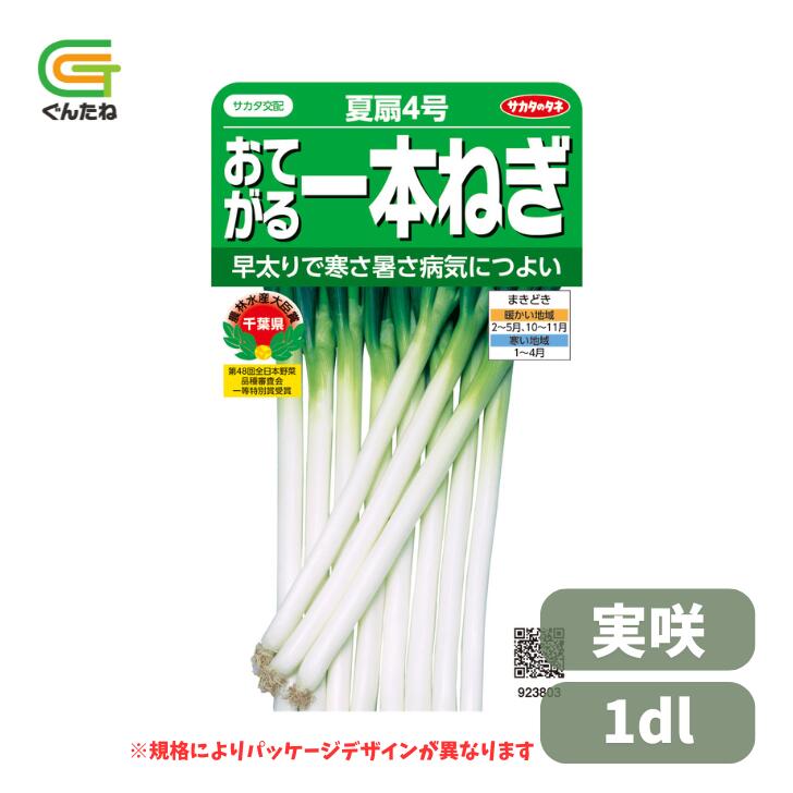 最安値傍若無人中 サカタ 夏扇4号 実咲 1デシリットル 葱 ネギ ねぎ 内果皮 種 たね タネ 蔬菜種 蔬菜 身寄り家庭菜園