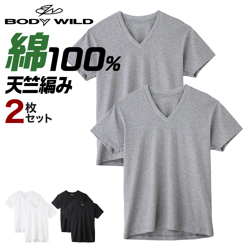 楽天市場】グンゼ Vネック Ｔシャツ メンズ ボディワイルド 半袖