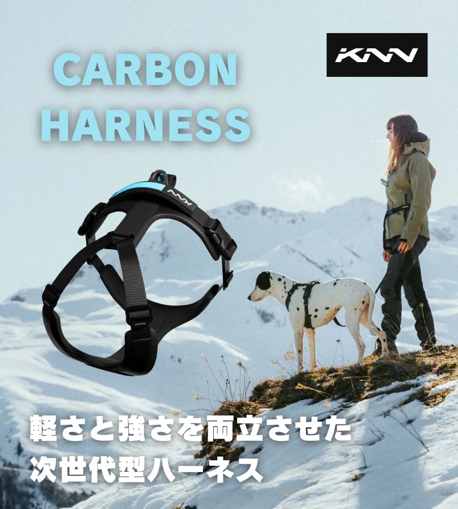 馬具 犬 大型犬 馬具 たわい無い 軽さ 高耐久 中型犬 小型犬 軽さ 思わしいアウトドア 抜けない 脱げない 飾り気の無い作り付ける 引っ張り押しとどめる 中型犬 今めかしい かっこいい 厄介なものが小っちゃい オシャレ 犬用馬具 胴輪 力強さ馬具   【置き目代わりになる店商いもの】