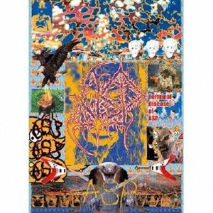 ASP / Terminal disease of ASP（初回生産限定盤／CD＋Blu-ray（スマプラ対応）） [CD]｜ポプカル 店