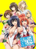 世界でいちばん強くなりたい!第4巻 [DVD]画像