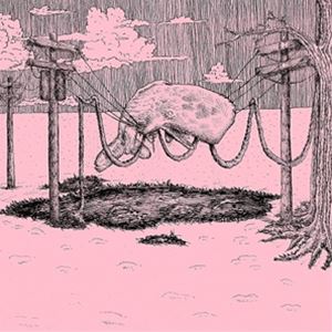 輸入盤 HOME IS WHERE / WHALER [LP]