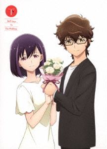 「結婚するって、本当ですか」DVD 下巻 [DVD]