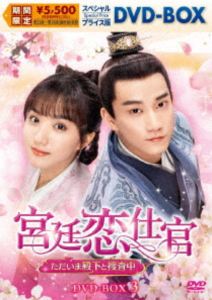 宮廷恋仕官～ただいま殿下と捜査中～ スペシャルプライス版DVD-BOX3 [DVD]