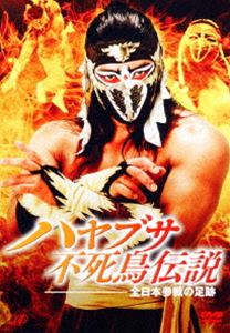 ハヤブサ不死鳥伝説 ～全日本参戦の足跡～ [DVD]