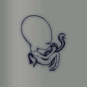輸入盤 SIGUR ROS / AGAETIS BYRJUN ： A GOOD BEGINNING （20TH ANNIVERSARY EDITION） [4CD]