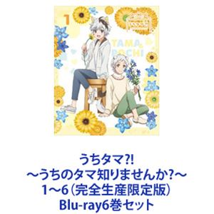 うちタマ?! ～うちのタマ知りませんか?～ 1～6（完全生産限定版） [Blu-ray6巻セット]｜ポプカル 店