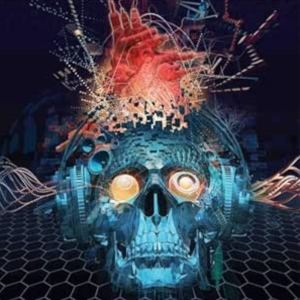 輸入盤 PAPA ROACH / CONNECTION [LP]