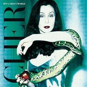 輸入盤 CHER / IT’S A MAN’S WORLD [2LP]