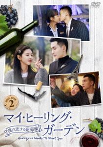 マイ・ヒーリング・ガーデン～僕の恋する葡萄園～ DVD-BOX2 [DVD]
