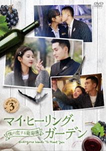 マイ・ヒーリング・ガーデン～僕の恋する葡萄園～ DVD-BOX3 [DVD]