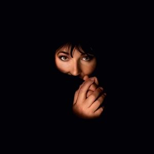 輸入盤 KATE BUSH / REMASTERED IN VINYL 4 [4LP]｜ポプカル 店