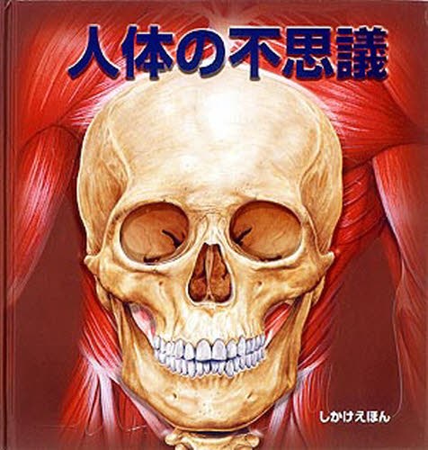 楽天市場】人体の不思議展 : 63堂