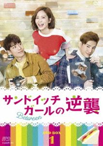 サンドイッチガールの逆襲 DVD-BOX1 [DVD]