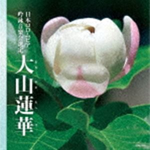楽天市場】オオヤマレンゲ（大山蓮華） 5号 苗木 : 千草園芸
