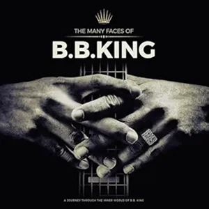 輸入盤 VARIOUS ARTISTS / MANY FACES OF BB KING （GREY） [2LP]