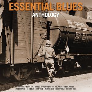 輸入盤 VARIOUS / ESSENTIAL BLUES ANTHOLOGY [2LP]