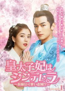 皇太子妃はシンデレラ～花嫁は可愛い盗賊!?～ DVD-BOX1 [DVD]