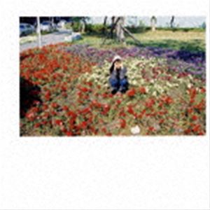 楽天市場】銀杏BOYZ／【DVD】デイドリーム 祈り : かしわや