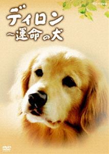ディロン 運命の犬 [DVD]