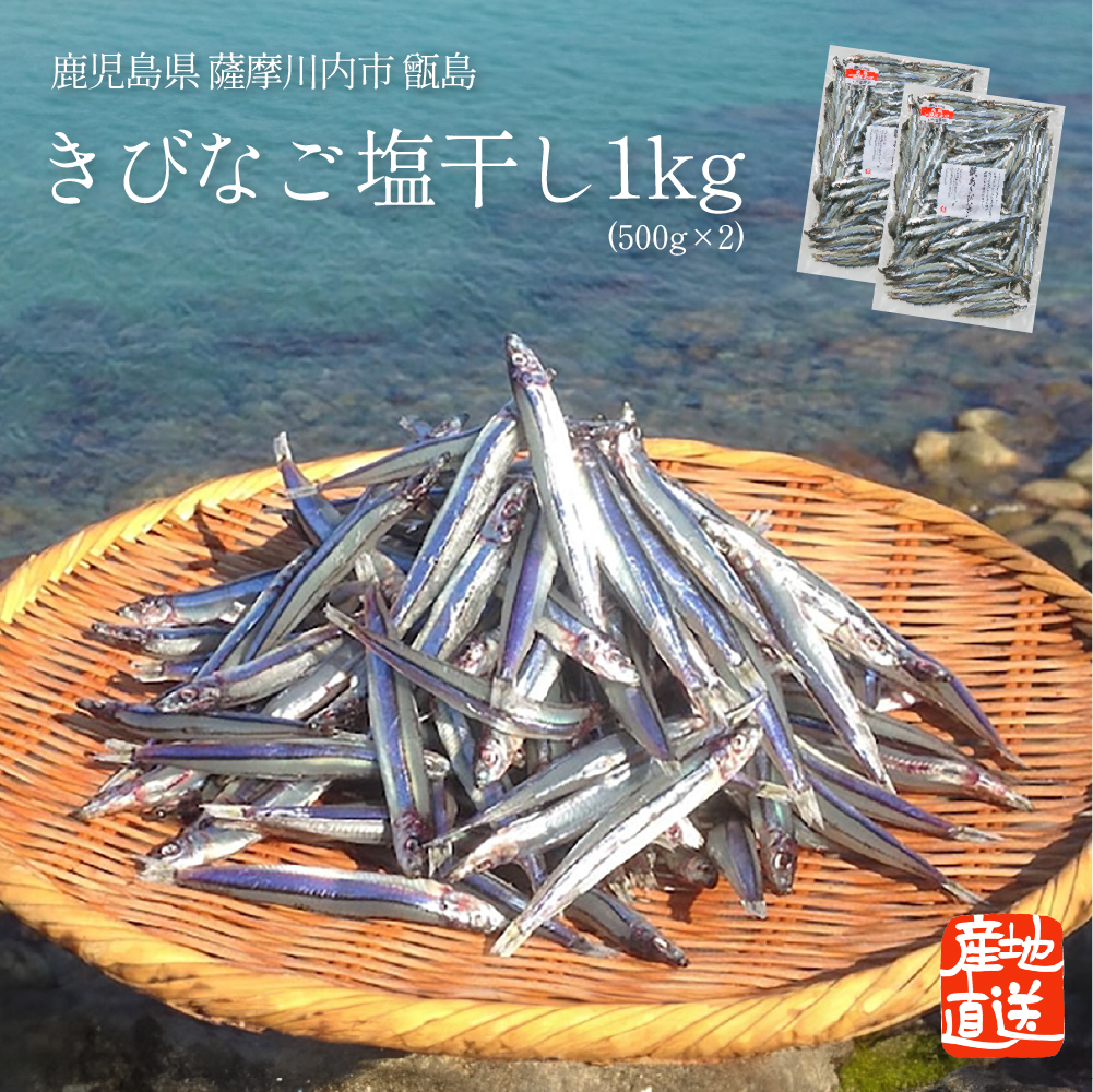 【送料無料】 きびなご塩干し 1kg（500g×2個） 鹿児島県 甑島産 薩摩川内市 馬場水産加工場 きびなご キビナゴ 塩干 塩干し 鹿児島 ご当地グルメ ご当地 グルメ お取り寄せ 産地直送 おつまみ お酒のお供 ご飯のお供  お中元 御中元 魚 お歳暮 御歳暮