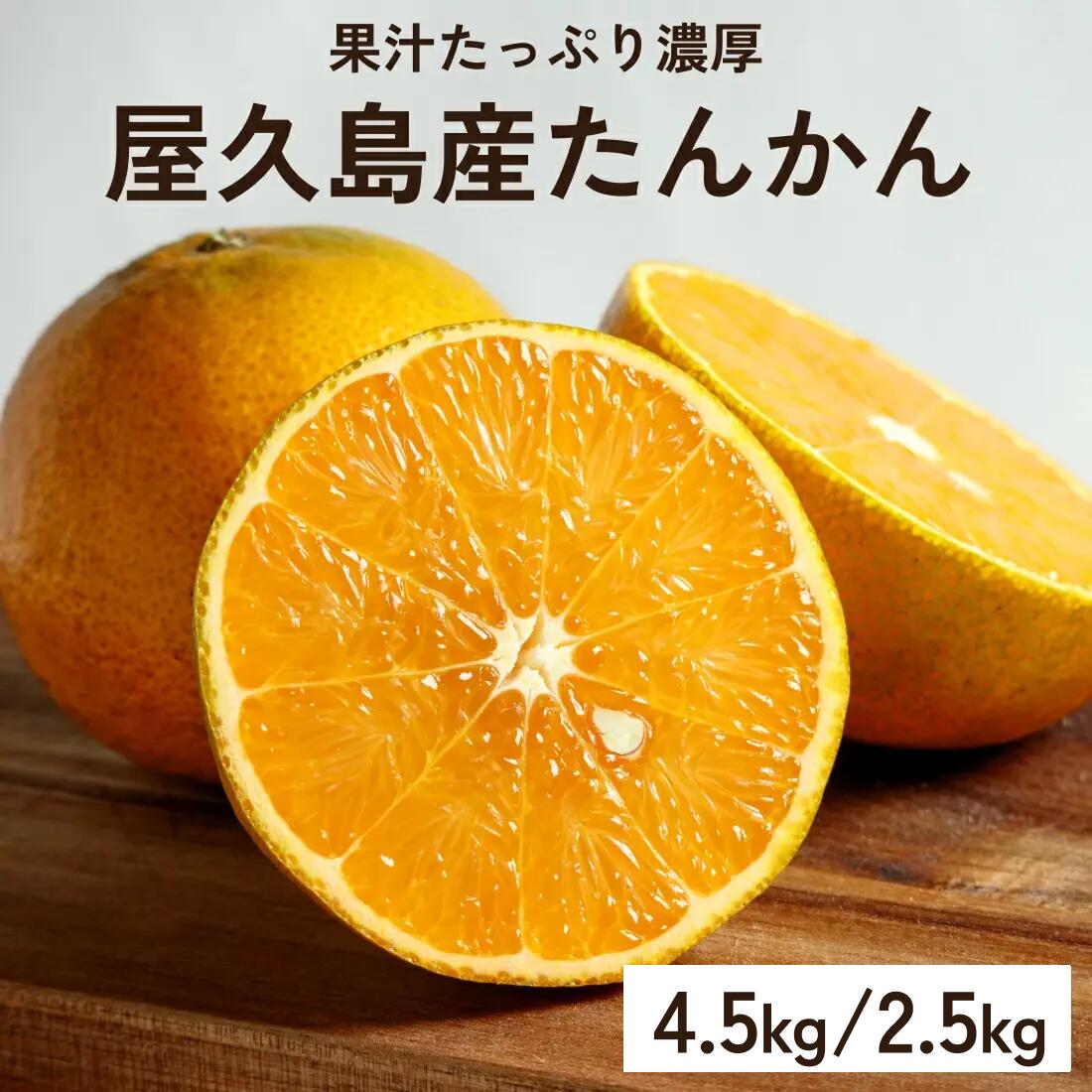楽天市場】【予約販売】鹿児島産 旬の柑橘 いちき 串木野 サワーポメロ