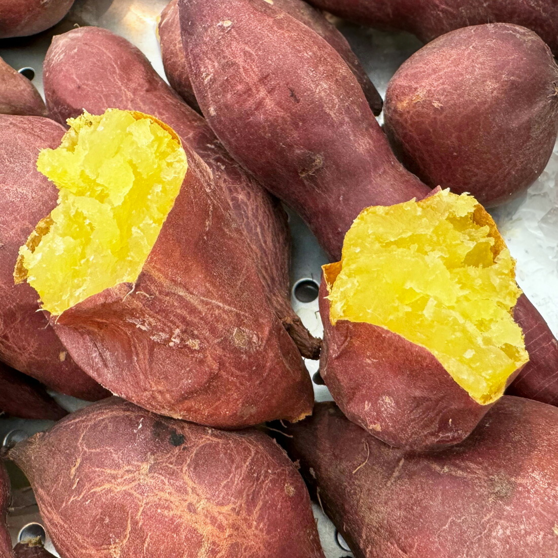 さつまいも苗【あまはづき苗３００本】【ウイルスフリー切り苗】 さつまいも苗【あまはづき苗300本】【ウイルスフリー切り苗】