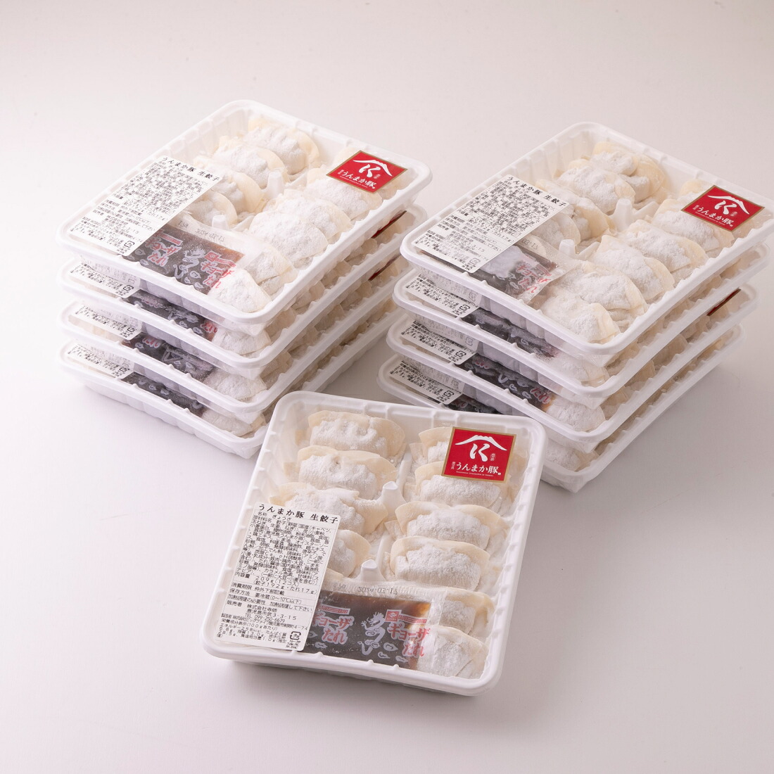 【送料無料】肉の寺師 鹿児島うんまか豚生餃子(計108個・12個入り×9P・タレ付) 肉 鹿児島 産地直送 食品 贈り物 ご当地 御中元 お中元 グルメ お取り寄せ ギフト プレゼント 贈答 誕生日 お返し 母の日 父の日 お取り寄せグルメ 九州