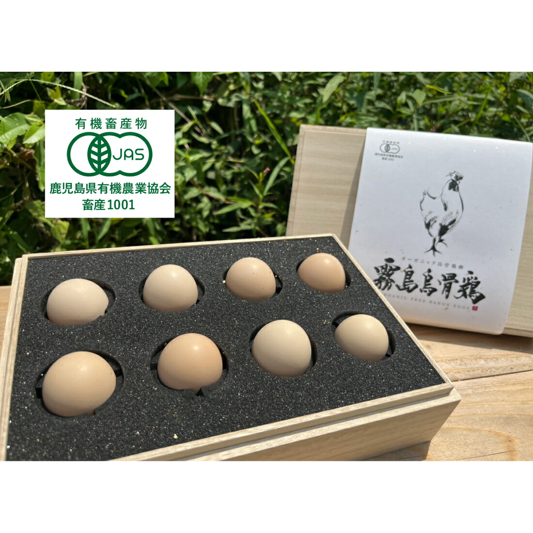【ポイント5倍 23日 20:00~】 【送料無料】 全国初 有機JAS認定 オーガニック 烏骨鶏 卵 8個入り 鹿児島 霧島 桐箱付き 高級 たまご ご飯のお供 贈答 ご当地グルメ お取り寄せ 産地直送 お祝い 内祝い ギフト プレゼント お多福たまご