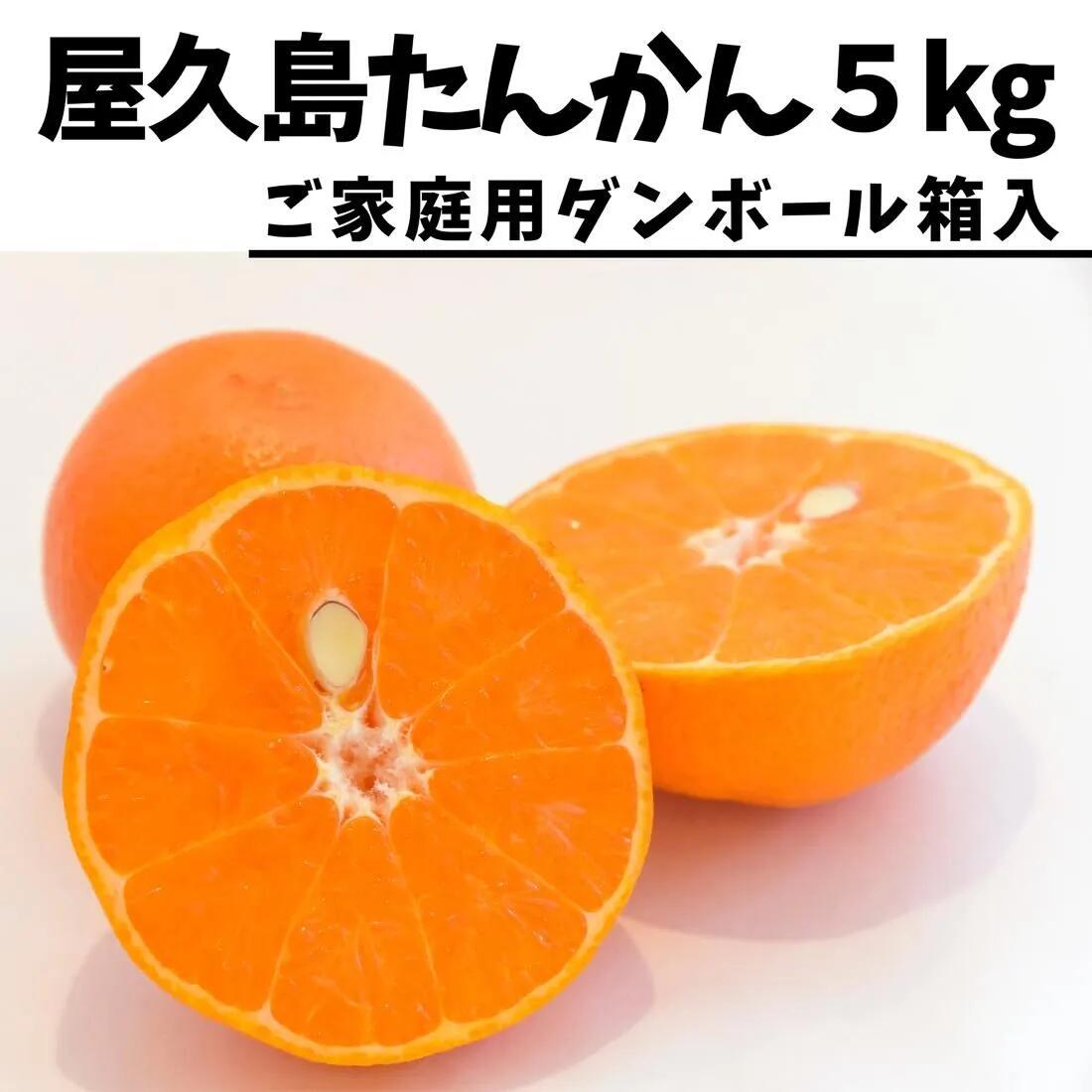 【送料無料】屋久島産たんかん家庭用 約5kg（L～2Lサイズ） 鹿児島 産地直送 お取り寄せ ご当地 ご当地グルメ 食品 食材 グルメ 贈答 ギフト 食べ物 プレゼント 果物 フルーツ お祝い 旬