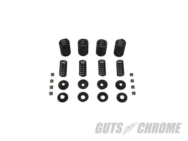 【取寄】13-9196 シフトン バルブ スプリング キット 12,463円