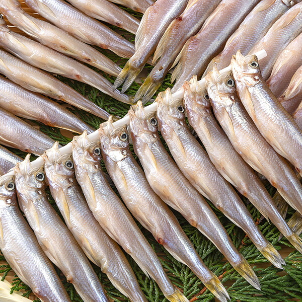 本ししゃもオス（北海道産）30尾 冷凍便　[ししゃも、本ししゃも]｜築地魚群