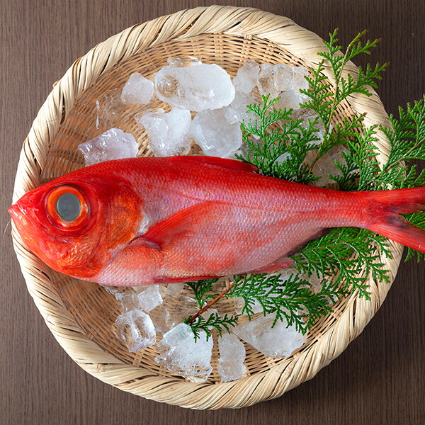 金目鯛1尾(1.5-2Kgサイズ) 国産 冷蔵便　[鮮魚,金目鯛]