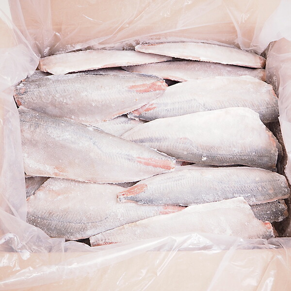 アジフィーレ約5kg 冷凍便　[鯵]