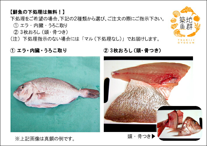 養殖 シマアジ1尾 冷便 国産 下処理可 1 1 3kg前後サイズ 三枚おろしor内