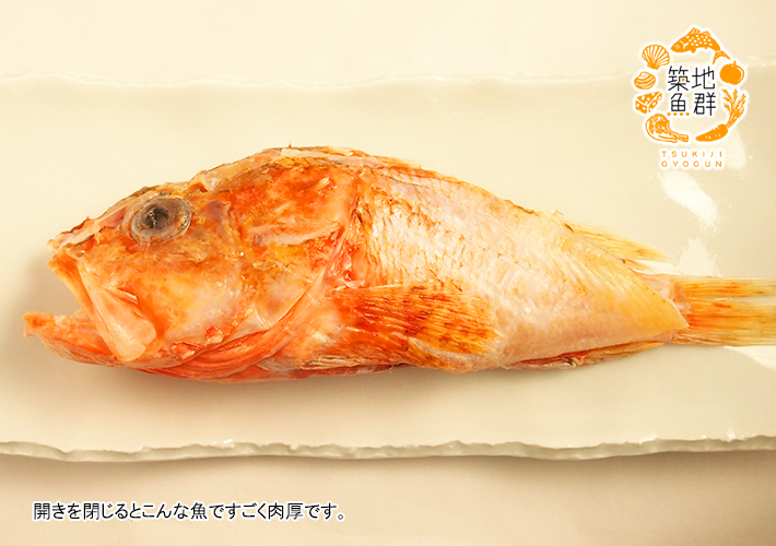 楽天市場 干物 カサゴの開き 冷凍便 ひもの かさご 瘡魚 築地魚群