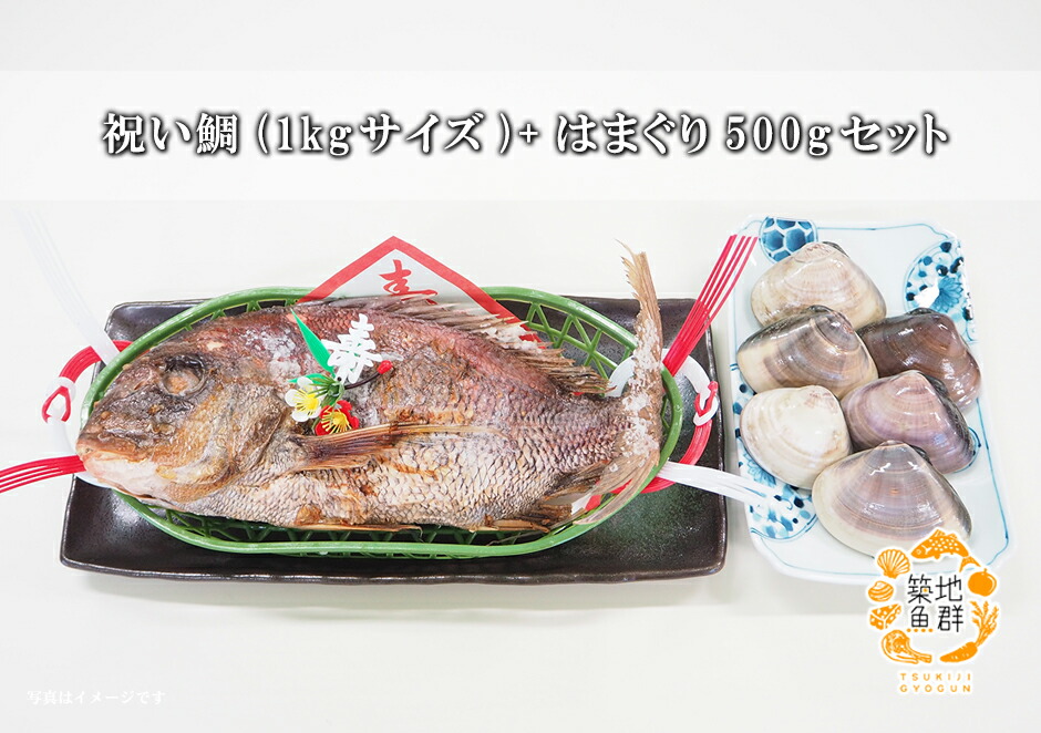 タイ お喰い初め お喰い初め 祝い鯛と千葉産の地はまぐりのセット 当店満足度no 1商品 タイ たい お祝い 祝い鯛 1kgサイズ はまぐり500gセット 蛤 冷蔵便 天然 おくいぞめ 焼き鯛 焼きたい 蛤 はまぐり 築地魚群 タイ Ekkadamaur Org タイ お喰い初め お喰い初め 祝い鯛と千葉産の地はまぐりのセット 当店満足度no 1商品 タイ たい お祝い 祝い鯛 1kgサイズ はまぐり500gセット 蛤 冷蔵便 天然 おくいぞめ 焼き鯛 焼きたい 蛤 はまぐり 築地魚群 タイ Ekkadamaur Org