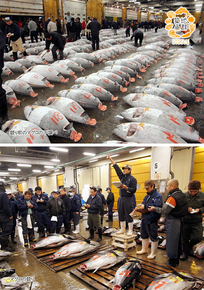 楽天市場 天然マグロ ほほ肉 500g前後 冷凍便 鮪 まぐろ ミナミマグロ インドマグロ サク 刺身 築地魚群