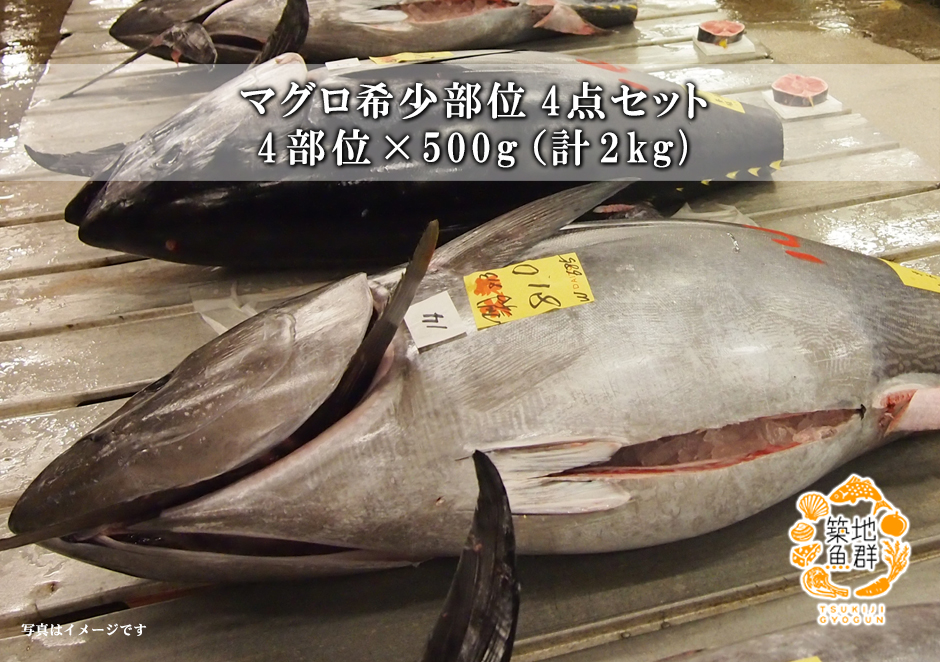 お手頃価格 マグロ希少部位 4点セット 冷凍便 鮪 まぐろ ミナミマグロ インドマグロ サク バーベキュー q カマ 脳天 頭肉 ほほ肉 尾の身 Qdtek Vn