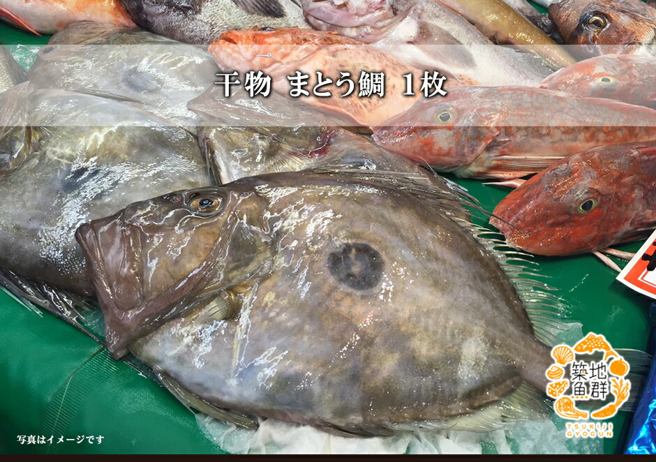 楽天市場 干物 まとう鯛 1枚 冷凍便 ひもの サンピエール 築地魚群