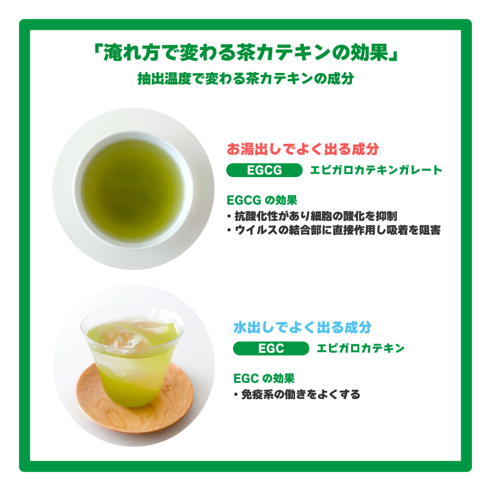 業務用カテキン濃い茶 お茶の栄養が濃く出る深蒸し茶 1kg お茶 水出し茶 冷茶が作れる Rvcconst Com