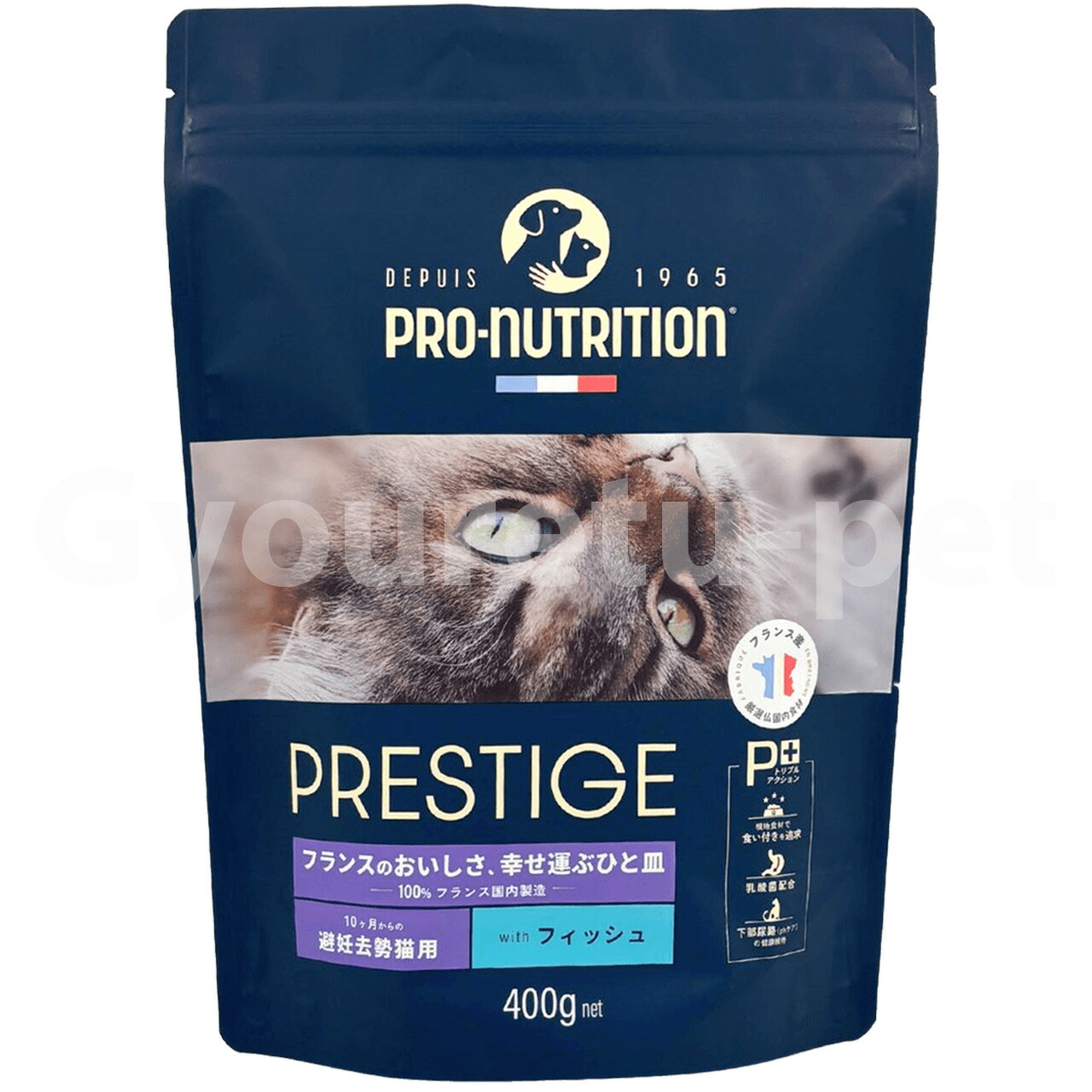 どりちゃん様30mlウォルナットと30mlのクラブアップルとレスキュー Amazon | primaniacs（プリマニアックス） TVアニメ『WIND