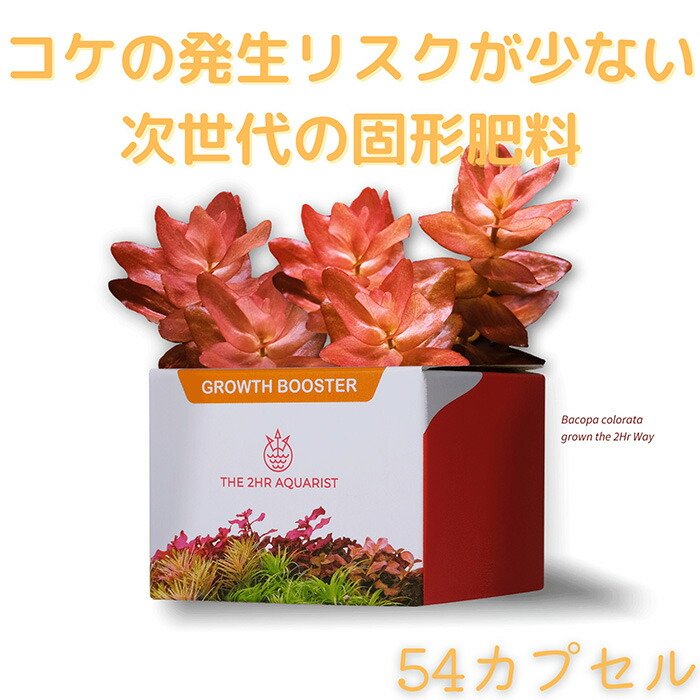 益荒男肥やし おすすめ 【THE 2HR AQUARIST】APT JAZZ 54宇宙カプセル入り口・入口