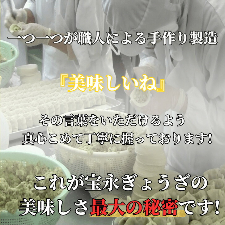宝永80セット（専用たれ付き）ぎょうざの宝永 北海道 冷凍餃子