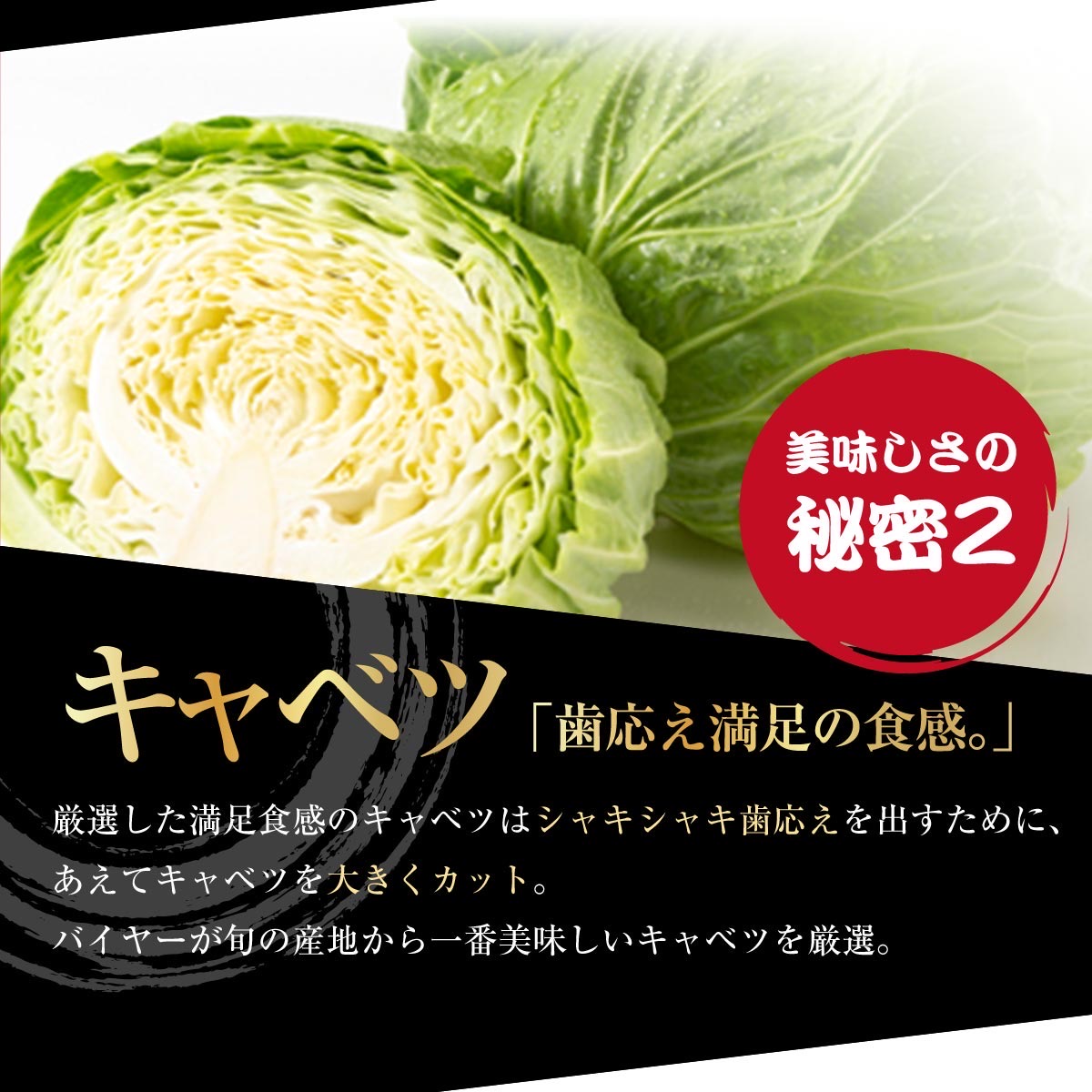 【4年連続中華総菜・点心部門・楽天グルメ大賞受賞！】餃子 送料無料 【5000万個完売】黒餃子48個本餃子48個！約96個分約16人前！ 送料無料 ぎょうざ 冷凍餃子 冷凍食品