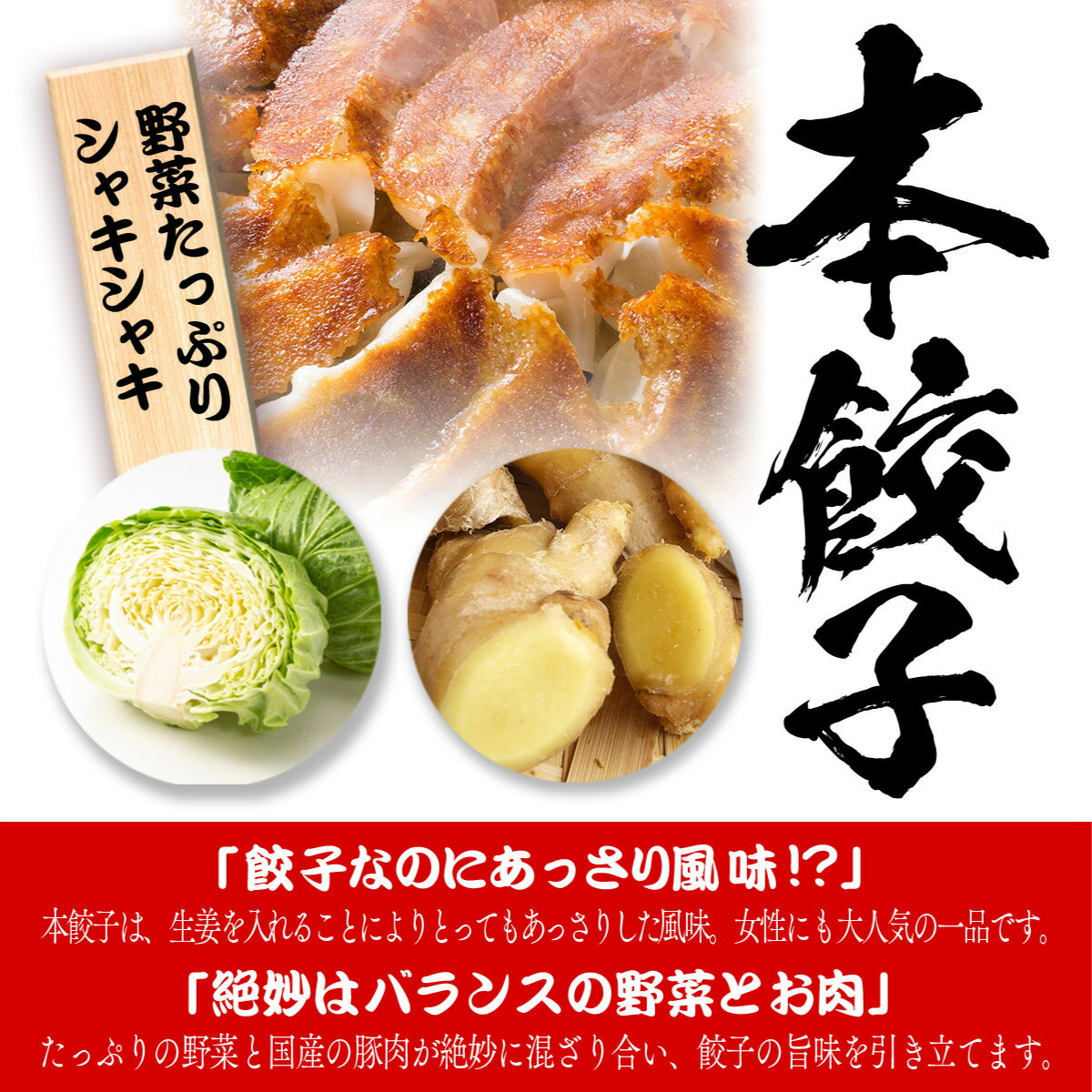 【4年連続中華総菜・点心部門・楽天グルメ大賞受賞！】餃子 送料無料 【5000万個完売】黒餃子48個本餃子48個！約96個分約16人前！ 送料無料 ぎょうざ 冷凍餃子 冷凍食品